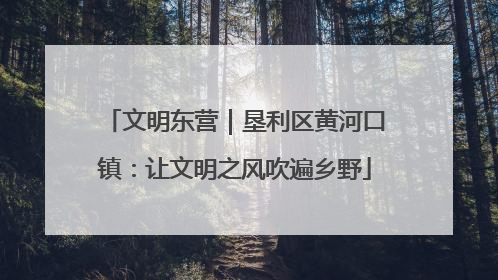 文明东营｜垦利区黄河口镇：让文明之风吹遍乡野